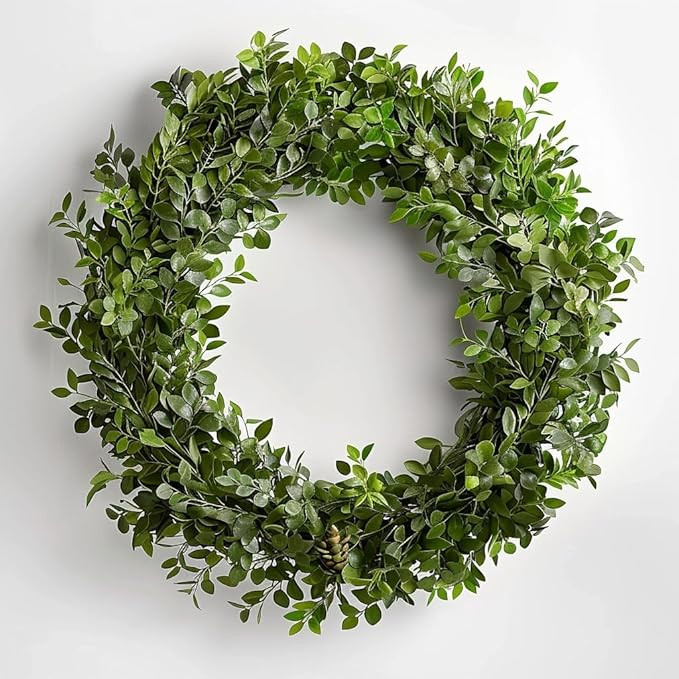 Live Boxwood Wreath Fresh Leaves 24" [Overnight Shipping from California] for Front Door Natural ... | Amazon (US)