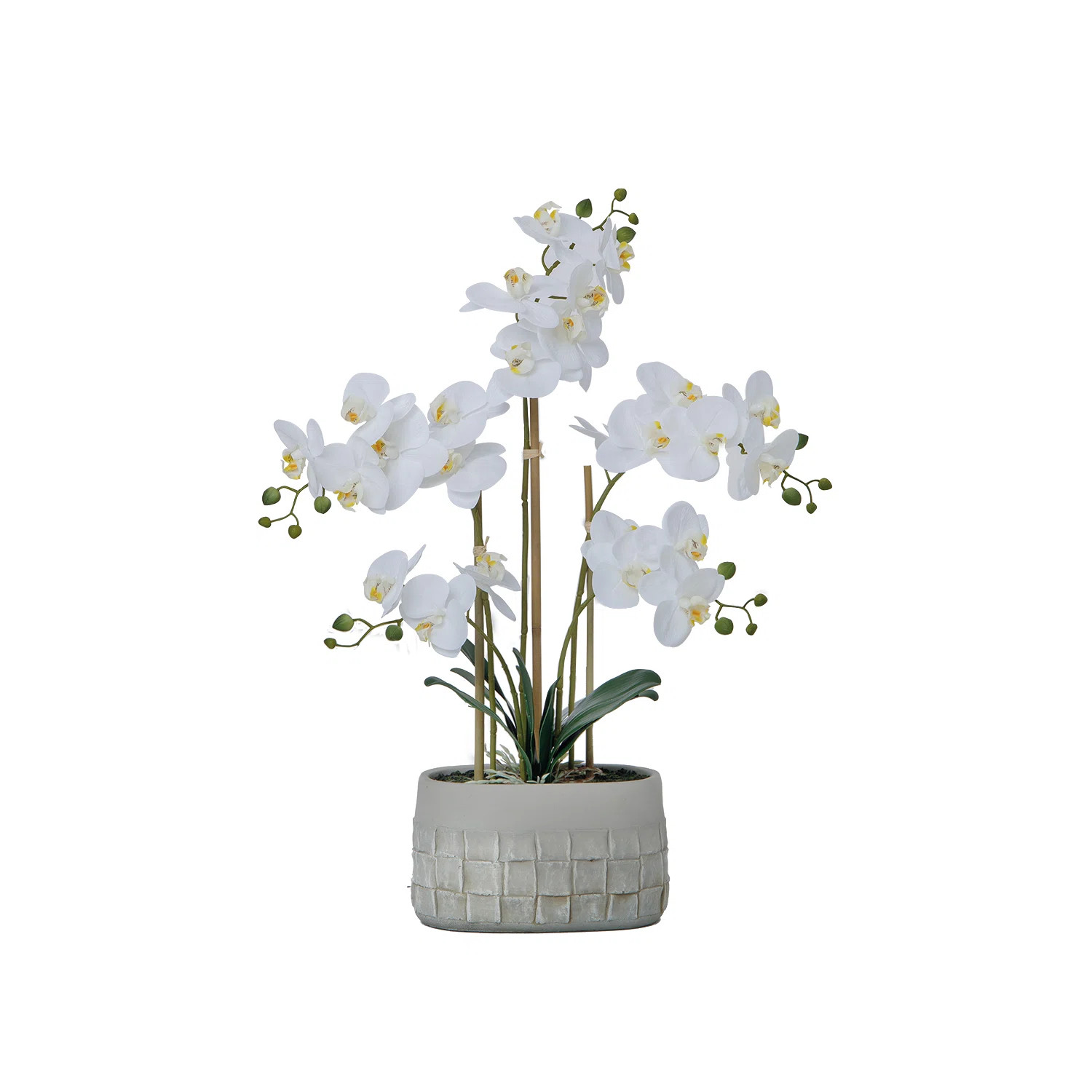 27" Purple Orchid Arrangement in a Grey Stonelike Planter | Real Touch Purple Moth Orchids in a G... | Wayfair North America