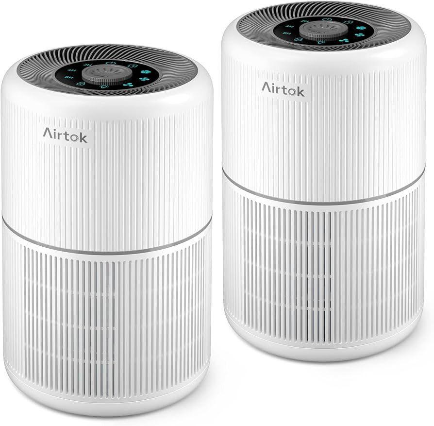 2 Pack Air Purifier for Home Bedroom with H13 True HEPA Filter for Smoke, Smokers, Dust, Odors, P... | Amazon (US)