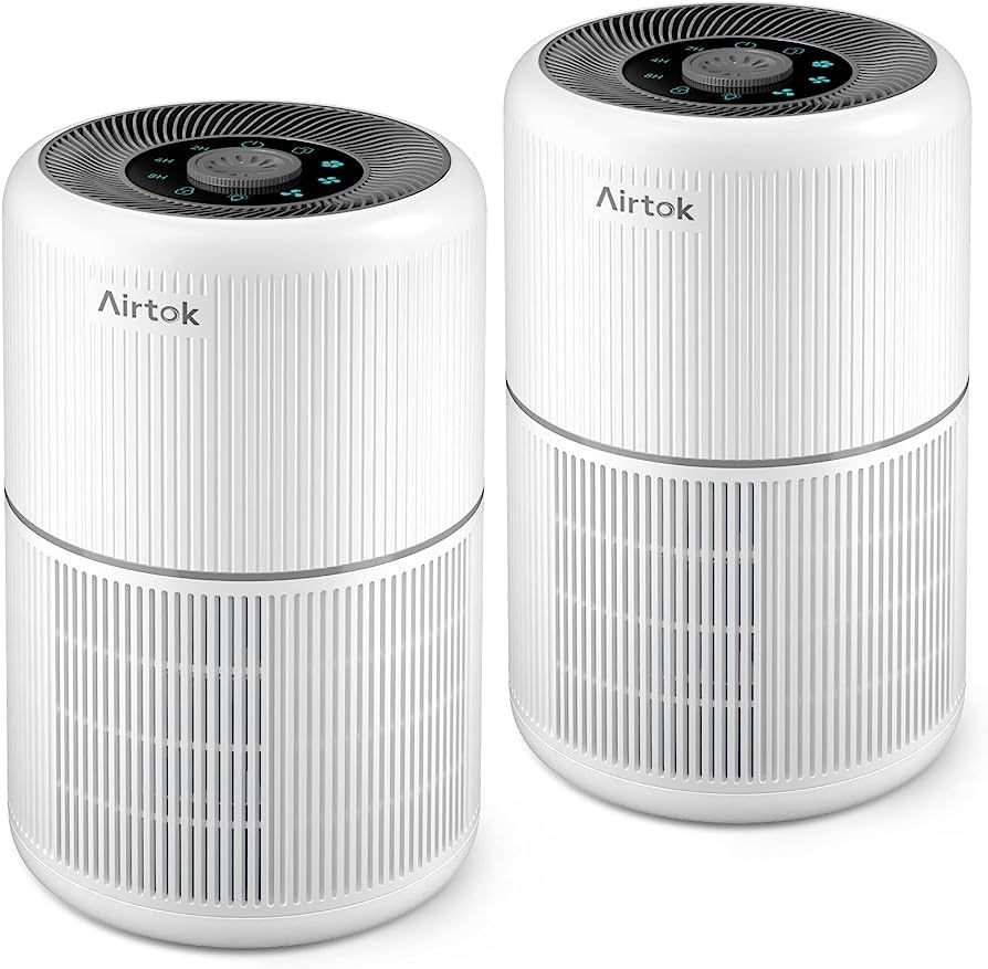2 Pack Air Purifier for Home Bedroom with H13 True HEPA Filter for Smoke, Smokers, Dust, Odors, P... | Amazon (US)
