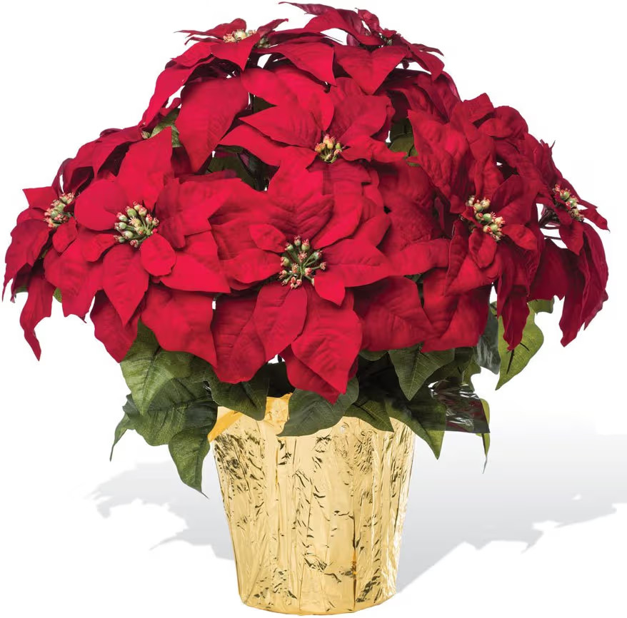Petals - Large Premier Silk Holiday Poinsettia - Handcrafted - Amazingly Lifelike - 23 x 22 Inche... | Amazon (US)