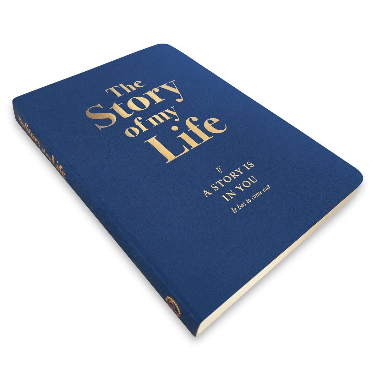 The Story of My Life Activity Journal - Piccadilly | Target