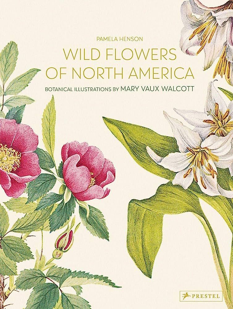 Wild Flowers of North America: Botanical Illustrations by Mary Vaux Walcott | Amazon (US)