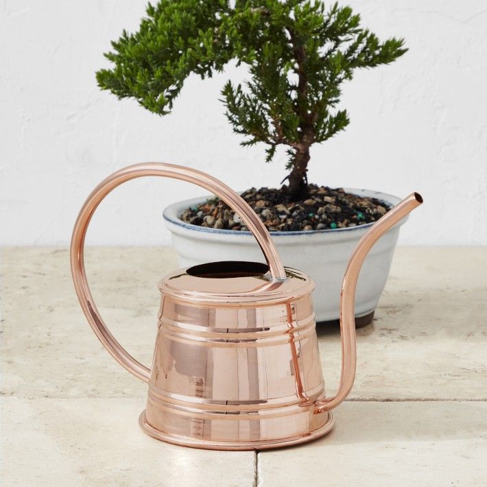 Mini Copper Watering Can | Williams-Sonoma