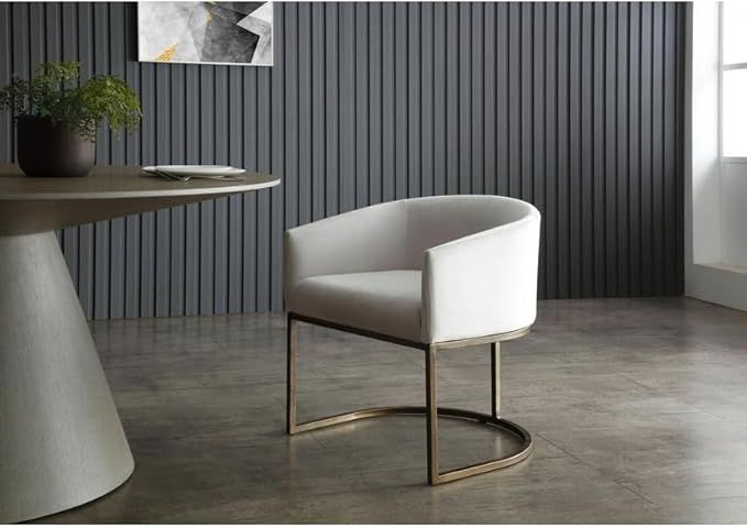 Modern Beige Velvet Brass Dining Chair Contemporary Upholstered Finish | Amazon (US)