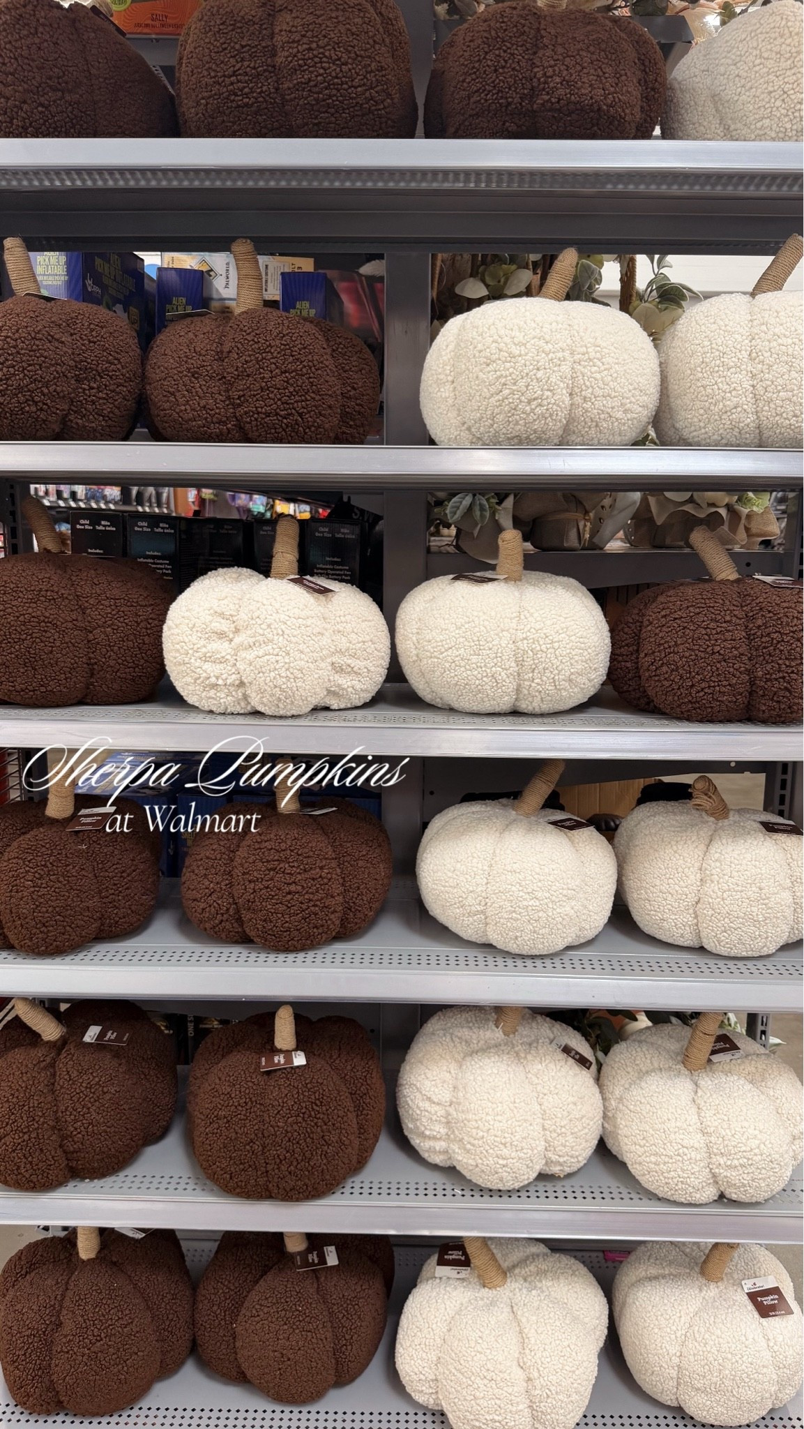 $11 sherpa pumpkins available at Walmart! Love these to style in a playroom, console tables, shelves, etc! Makes for cute fall touches in areas that the decor needs to be kid-friendly if picked up 🤪 

*linking the white version here, but it looks like the brown ones aren’t available online unfortunately- so maybe check in store near you!

#LTKHome #LTKSeasonal