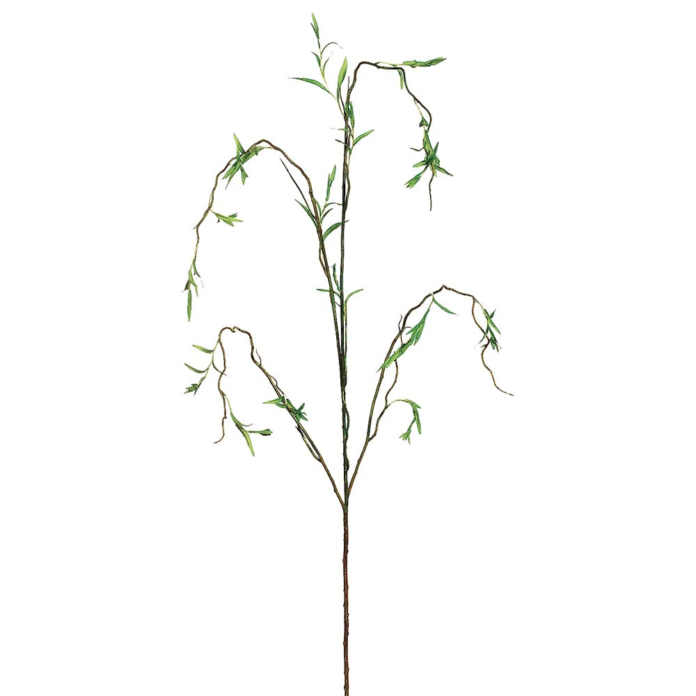 46” Curly Willow Stems  - 12 Stems  | Amazon (US)