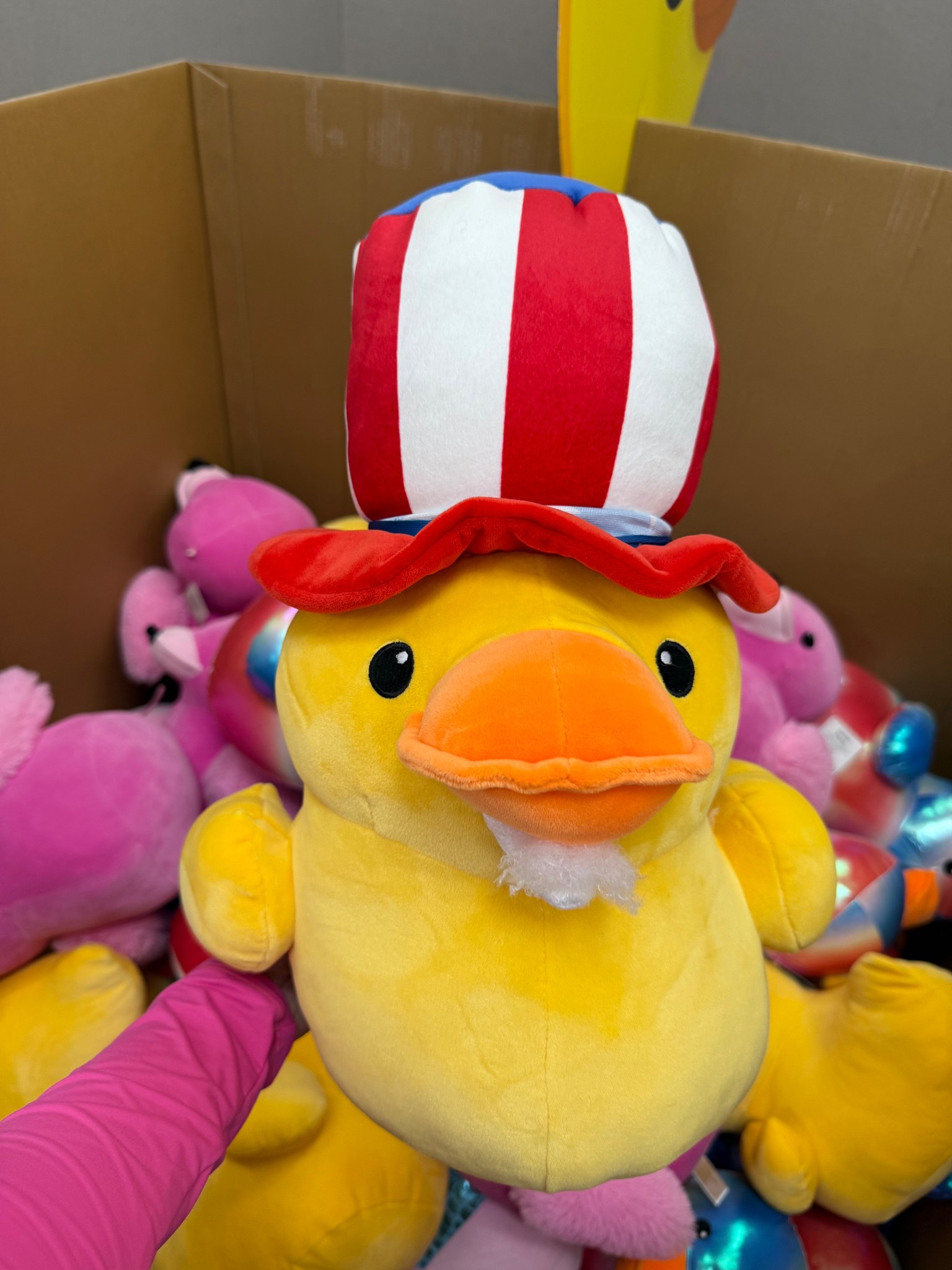 4th of July ducks at Walmart! 