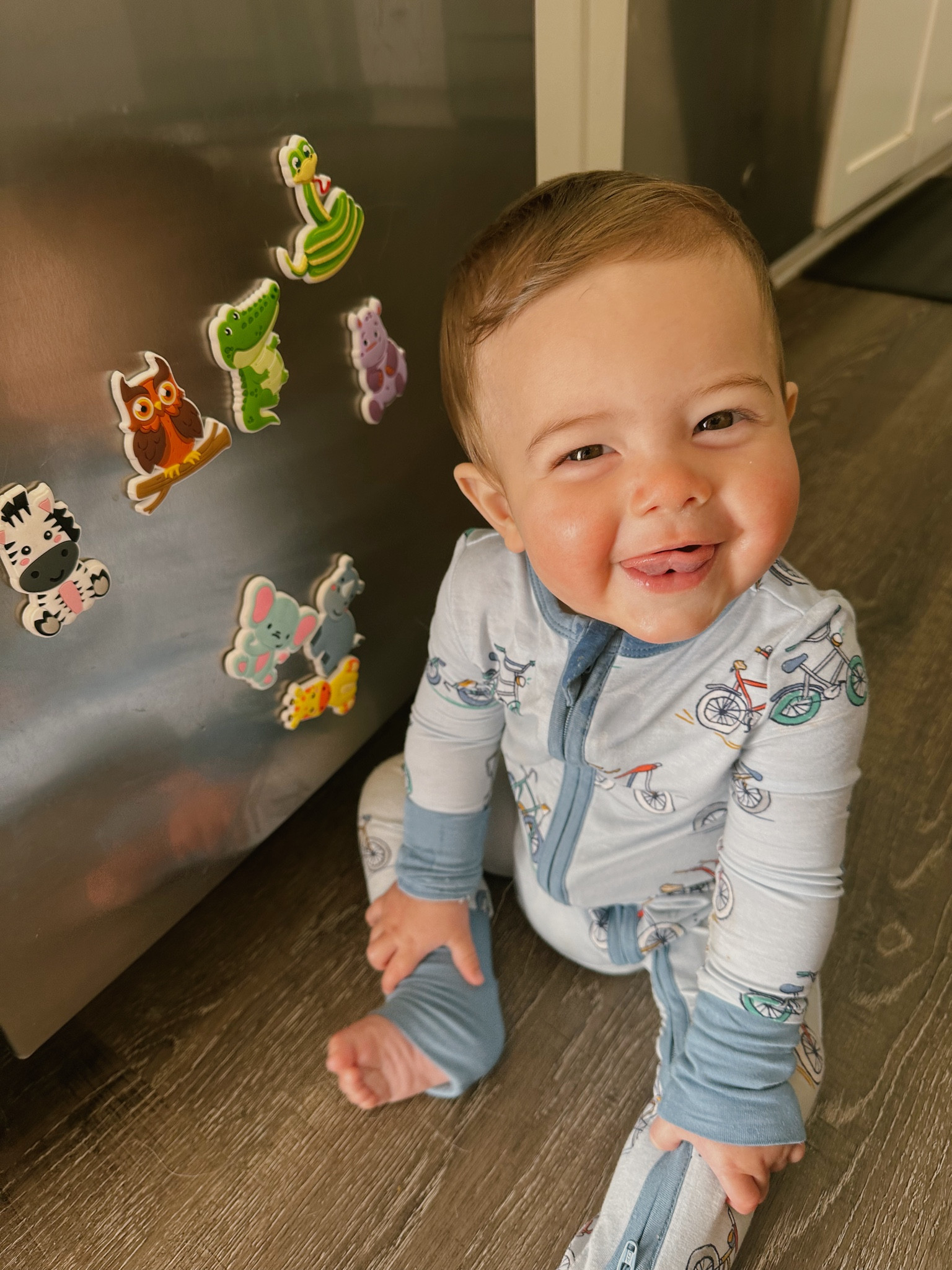 Fun animal fridge magnets for bbys! 🫶🏼

#LTKkids #LTKfamily #LTKbaby