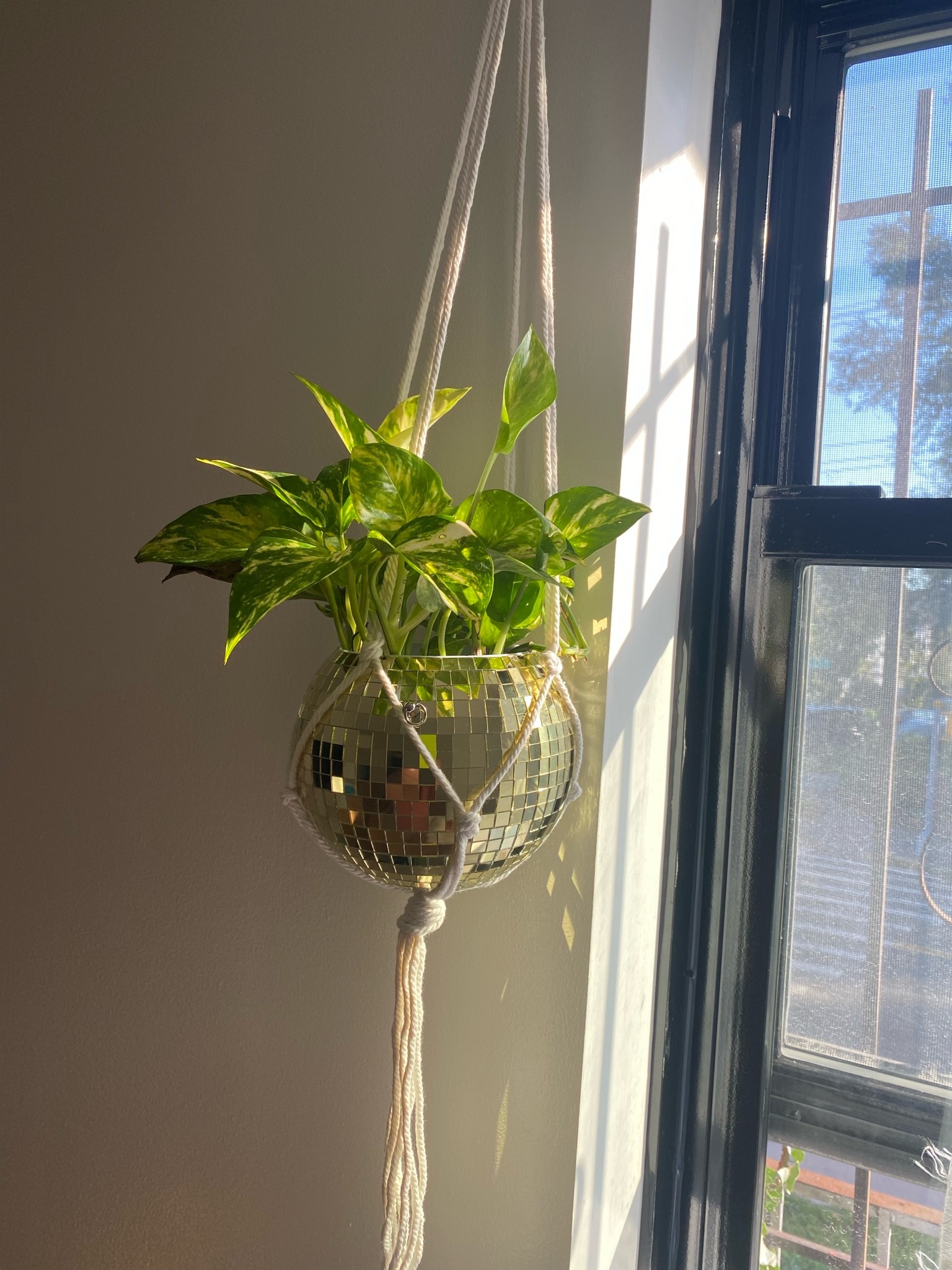 10/10 would recommend 

#LTKunder100 #LTKhome #LTKunder50