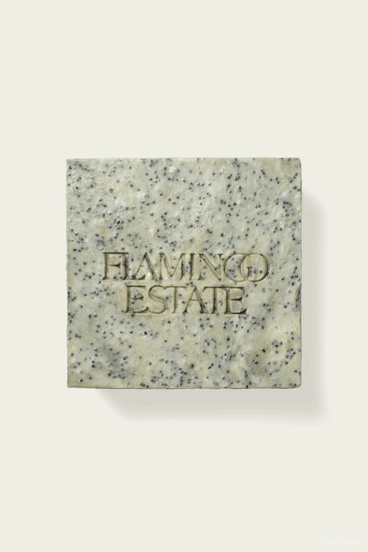 Exfoliating Peppermint Soap Brick | Shop Olivia