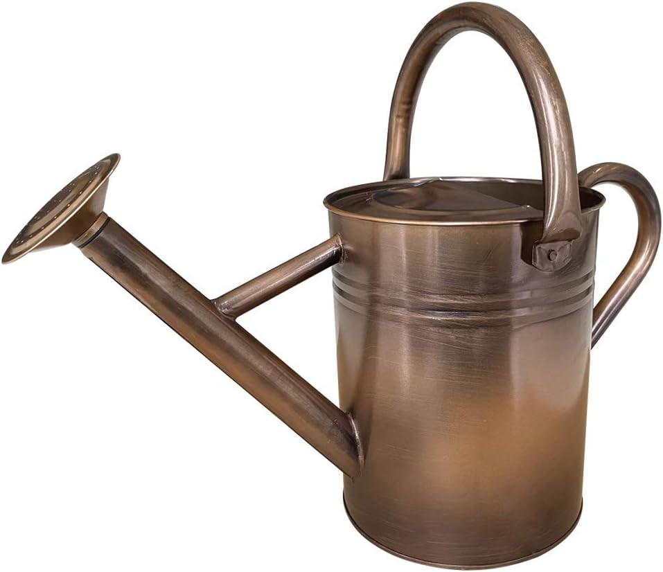 Galvanized Steel Watering Can Metal Watering Can for Outdoor and Indoor Plants, Watering Can Dec... | Amazon (CA)