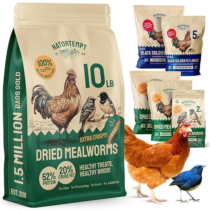 Bulk Dried Mealworms 10 Lbs - Non-GMO Mealworms for Chicken & Birds - Chicken Feed Treats for Lay... | Amazon (US)