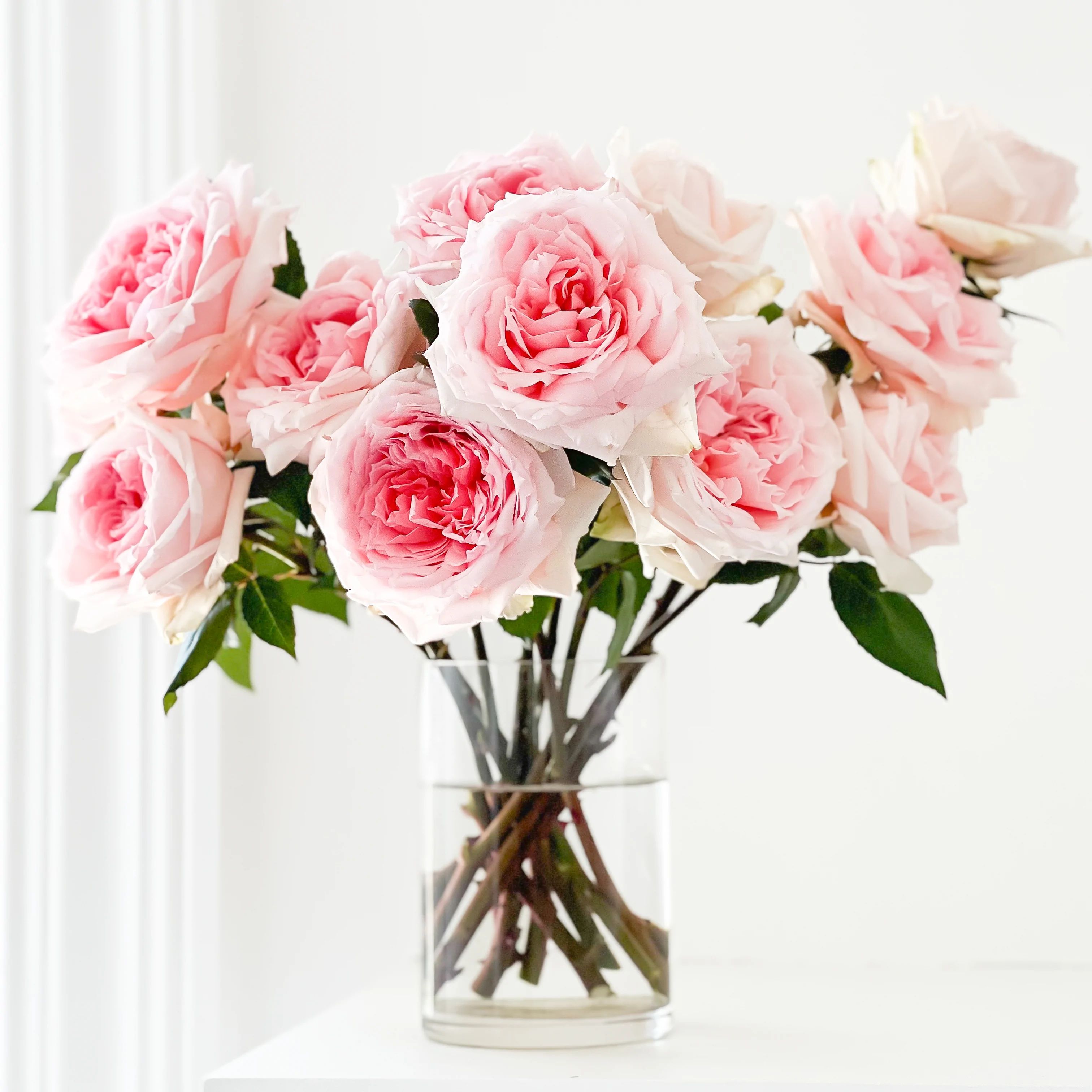 Mayra's Bridal Pink | Grace Rose Farm