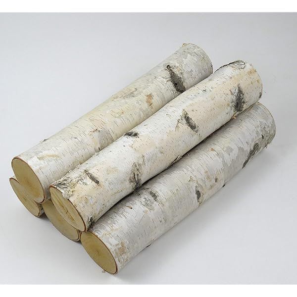 Fireplace Set of White Birch Logs | Amazon (US)