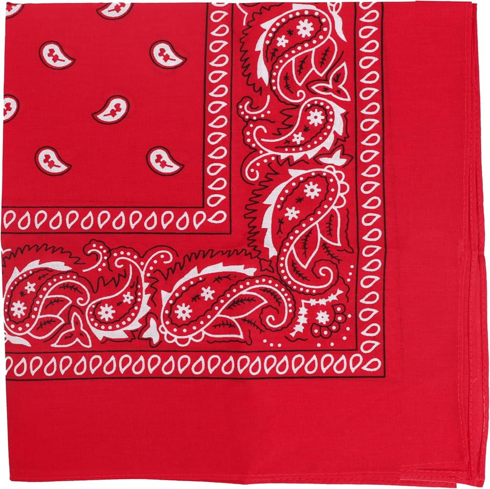 Motique Accessories 22 Inch Cotton Paisley Bandana | Amazon (US)