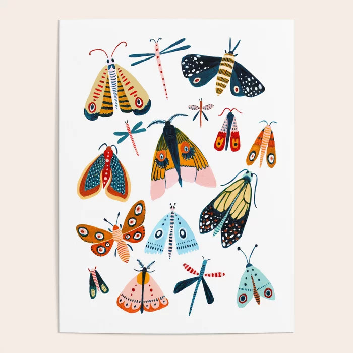 Moth Species Poster | Society6
