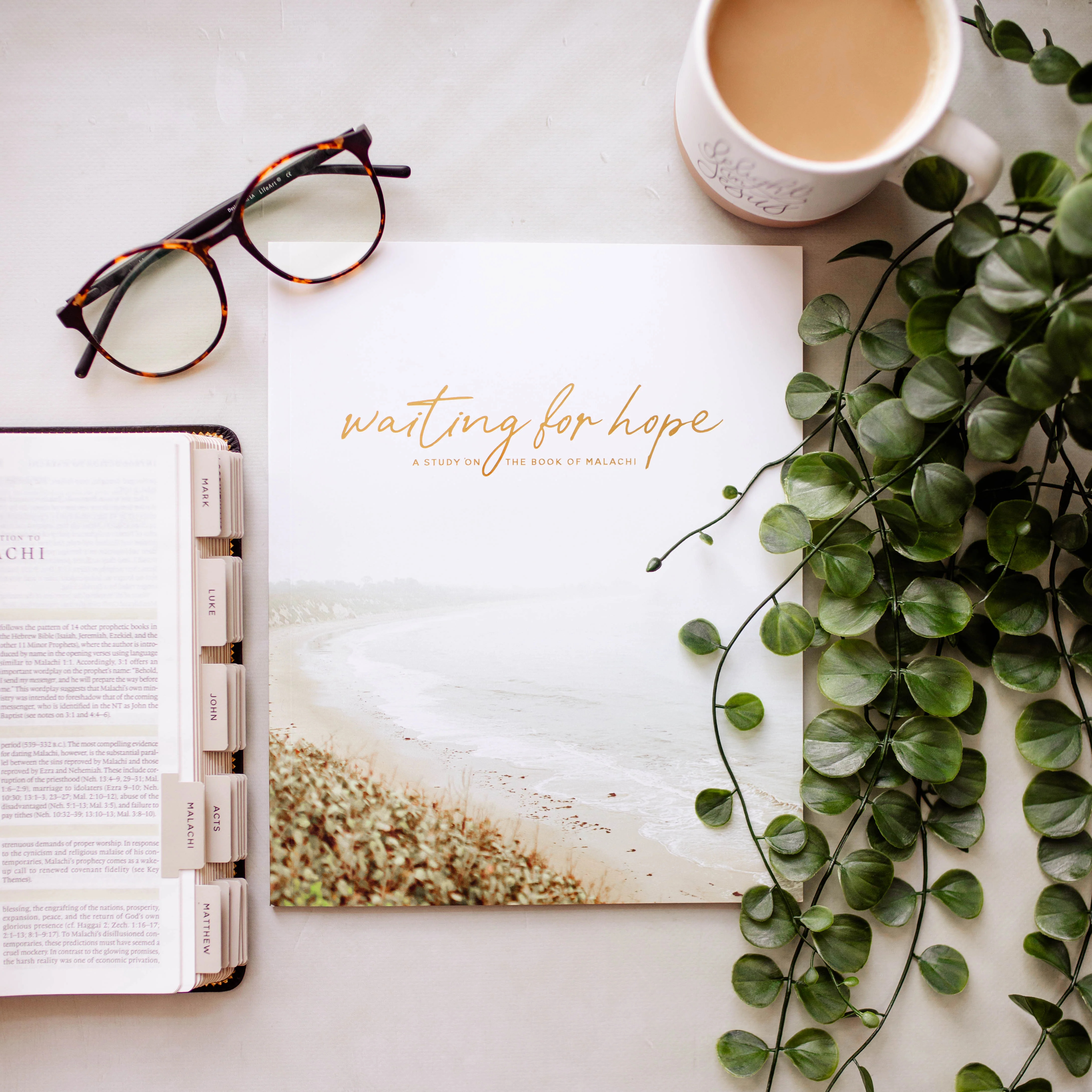 Waiting for Hope | Malachi Study | The Daily Grace Co.