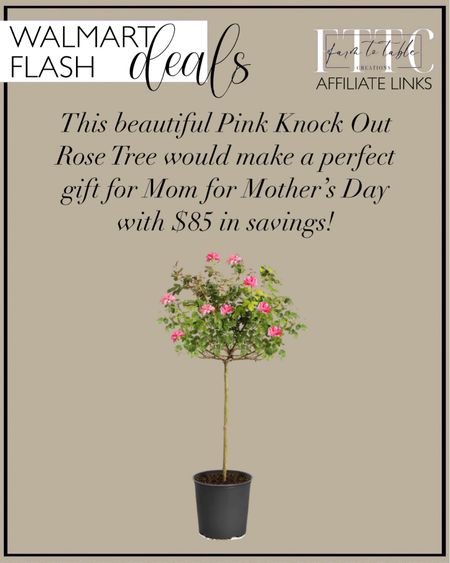 Walmart Flash Deal. Follow @farmtotablecreations on Instagram for more inspiration.

This gorgeous Knock Out Rose Tree would make a perfect gift for Mom for Mother’s Day. Brighter Blooms - Pink Knock Out Rose Tree, 3-4 ft. Outdoor Gardening. Outdoor Finds  

#LTKfindsunder100 #LTKGiftGuide #LTKhome