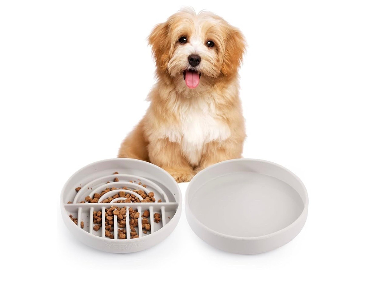Great slow feeder bowls. Super aesthetic with a suction on the bottom and easy to clean.