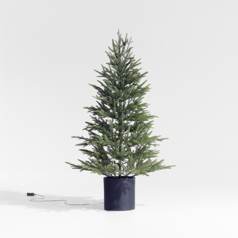 Faux Potted Norway Spruce Pre-Lit LED Tree with White Lights 5' | Crate and Barrel | Crate & Barrel