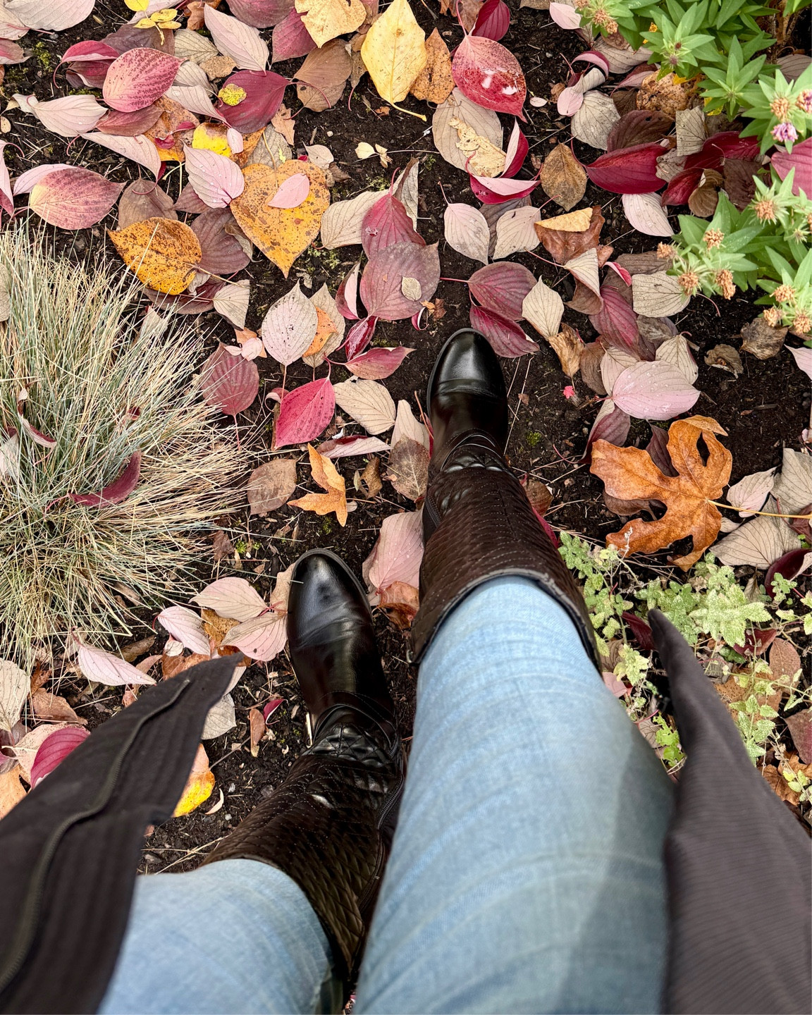 Boot season! 🍂 Round up of all of my favorite black knee high boots. From flat black leather knee high boots to high heel black knee high boots from affordable styles to designer boots. Get them now or put them on your Christmas gifts list 🖤 

#LTKSeasonal #LTKGiftGuide #LTKShoeCrush