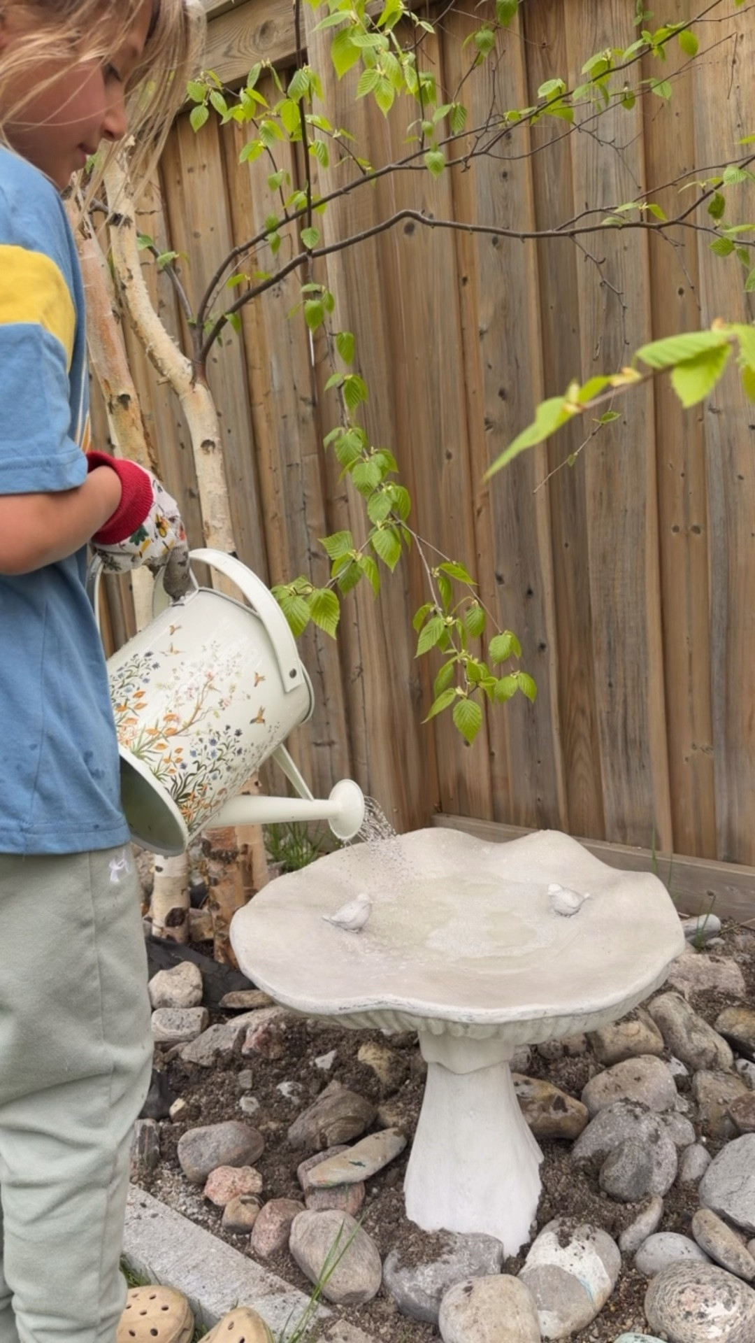 Bird bath
Summer finds
Summer essentials 
Trending 
Home decor
Neutral
Home

#LTKsummer #LTKhome