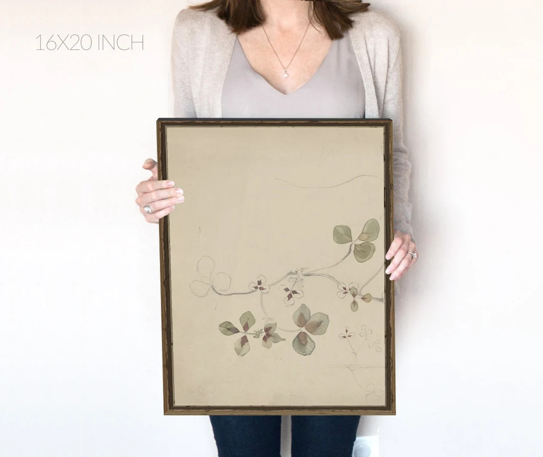 Clover Botanical Vintage Print Coquette Room Decor Vine Sketch Watercolor Sage Green Wall Decor N... | Etsy (US)