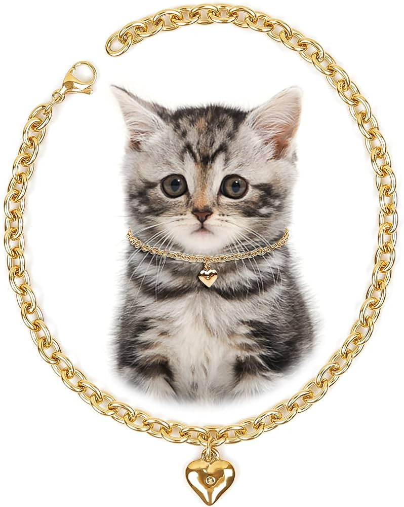 HOWWFALY Dog Collar and Cat Chain Necklace Stainless Steel Adjustable 18K Gold Heart-Shaped Neckl... | Amazon (US)