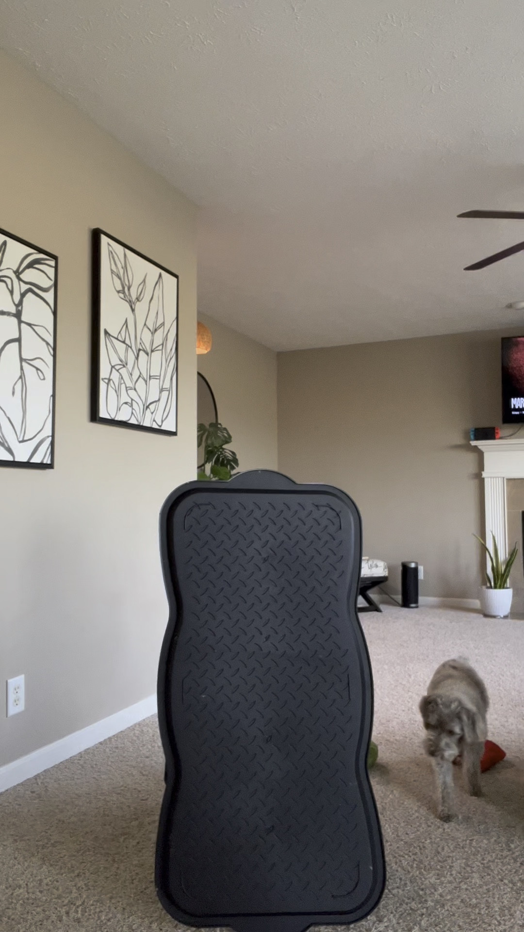 My large and in charge boot tray 

#LTKstyletip #LTKsalealert #LTKGiftGuide