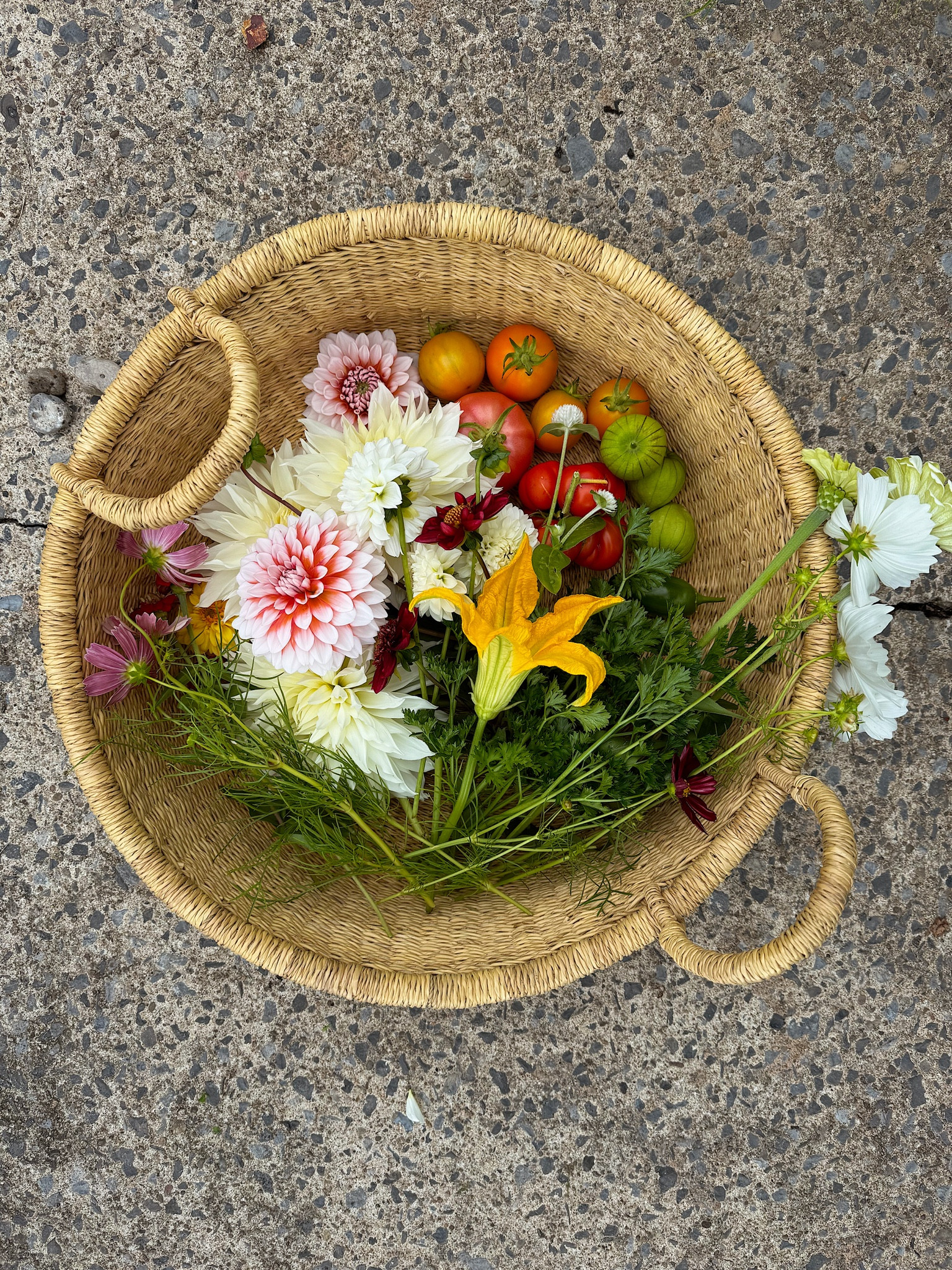 I have been cleaning up my garden, and thinking about the most useful tools I own. This set of baskets (small basket, shown) is high on the list. The baskets are both beautiful and functional - and look equally as great displayed indoors. I am definitely reserving a spot for them on this years’ gift guide for the gardener!

home garden gardening outdoors basket decor

#LTKHome #LTKFindsUnder100 #LTKSeasonal