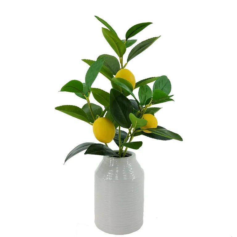 Mainstays 16in Indoor Artificial Lemon Plant in White Color Ceramic Pot, Product Weight 1.3lb - W... | Walmart (US)