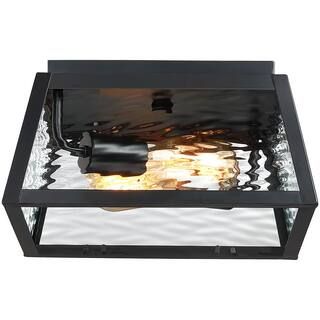 TRUE FINE 2-Light Black Outdoor Flush Mount Ceiling Light with Clear Water Glass TD20015CEL - The... | The Home Depot