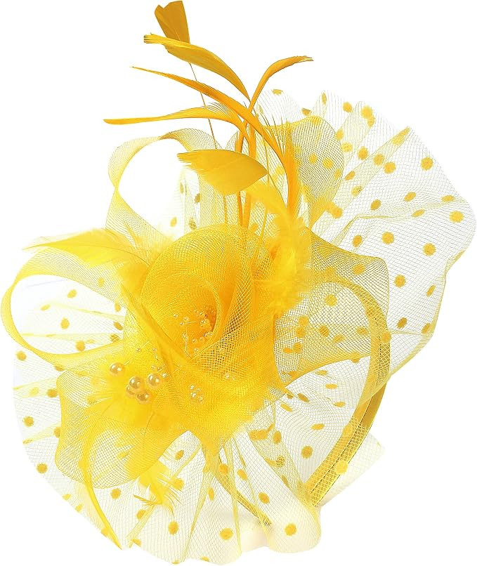 Myjoyday Women's Fascinators, Feathers Tea Party Hat, Veil Headband with Hair Clip for Cocktail C... | Amazon (US)