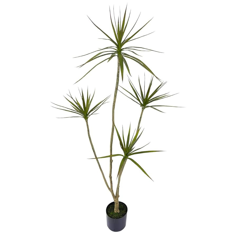 Artificial Dracaena marginata,5ft Tall Fake Plants Artificial Dracaena marginata Plants for Indoo... | Amazon (US)