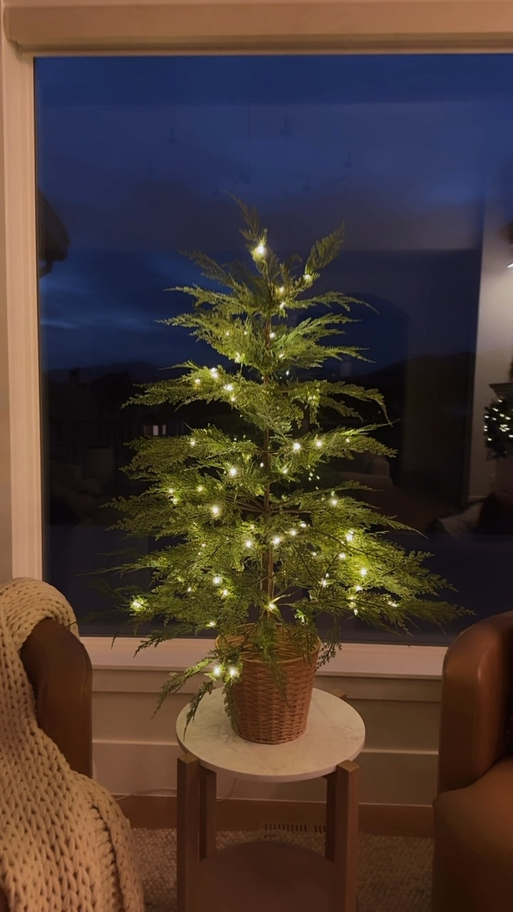 Gorgeous Pre-Lit Cypress Pot Christmas Tree!!! 
#LTKCyberWeek 

#LTKSeasonal #LTKHoliday