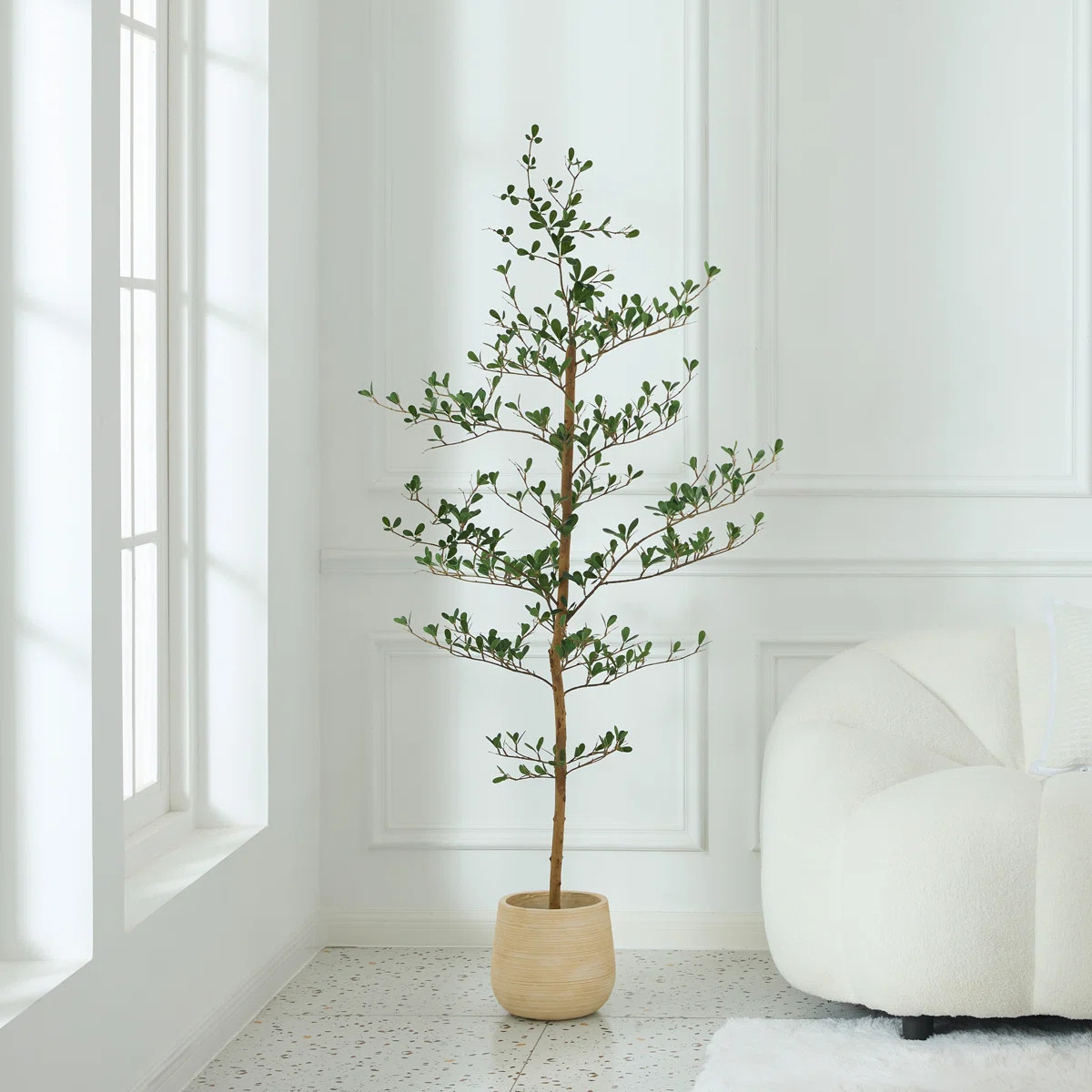 Primrue | Wayfair North America