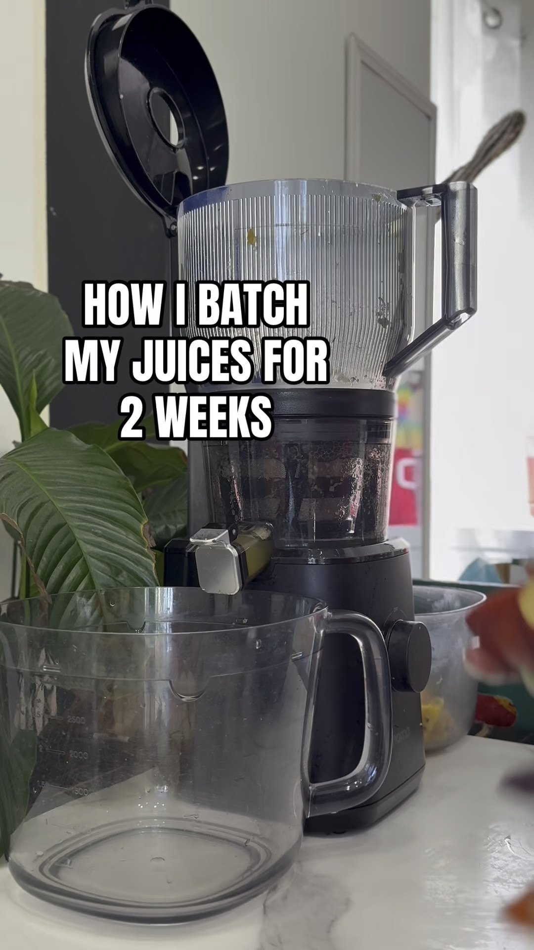 Get mom a juicer for Mother’s Day and give her something she can actually use every single day. It is the perfect gift for health, energy, and feeling good from the inside out. Fresh juices, better habits, and a daily routine she will love.

Shop the juicer I use daily on my LTK.

#ShoppingWithPriiincesss #MothersDayGift #Juicer #HealthyGift #WellnessLifestyle #JuicingJourney #ColdPressedJuice #MomLife #GiftIdeas #HealthAndWellness #DailyHabits #SelfCareGift #MomFavorites #AtlantaMom #Atlantamom #Atlantabloggers #Atlantablogger #AtlantaCreator #Atlantacontentcreators #Atlantacontentcreator

#LTKfoodie #LTKmomlife #LTKselfcare