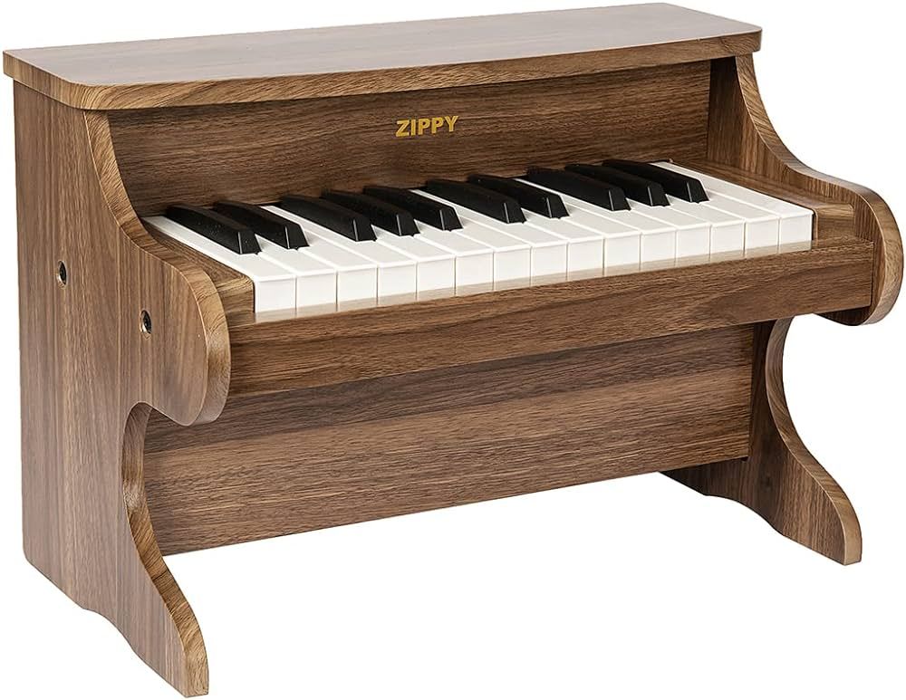 ZIPPY Kids Piano Keyboard, 25 Keys Digital Piano for Kids, Mini Music Educational Instrument Toy, Wo | Amazon (US)