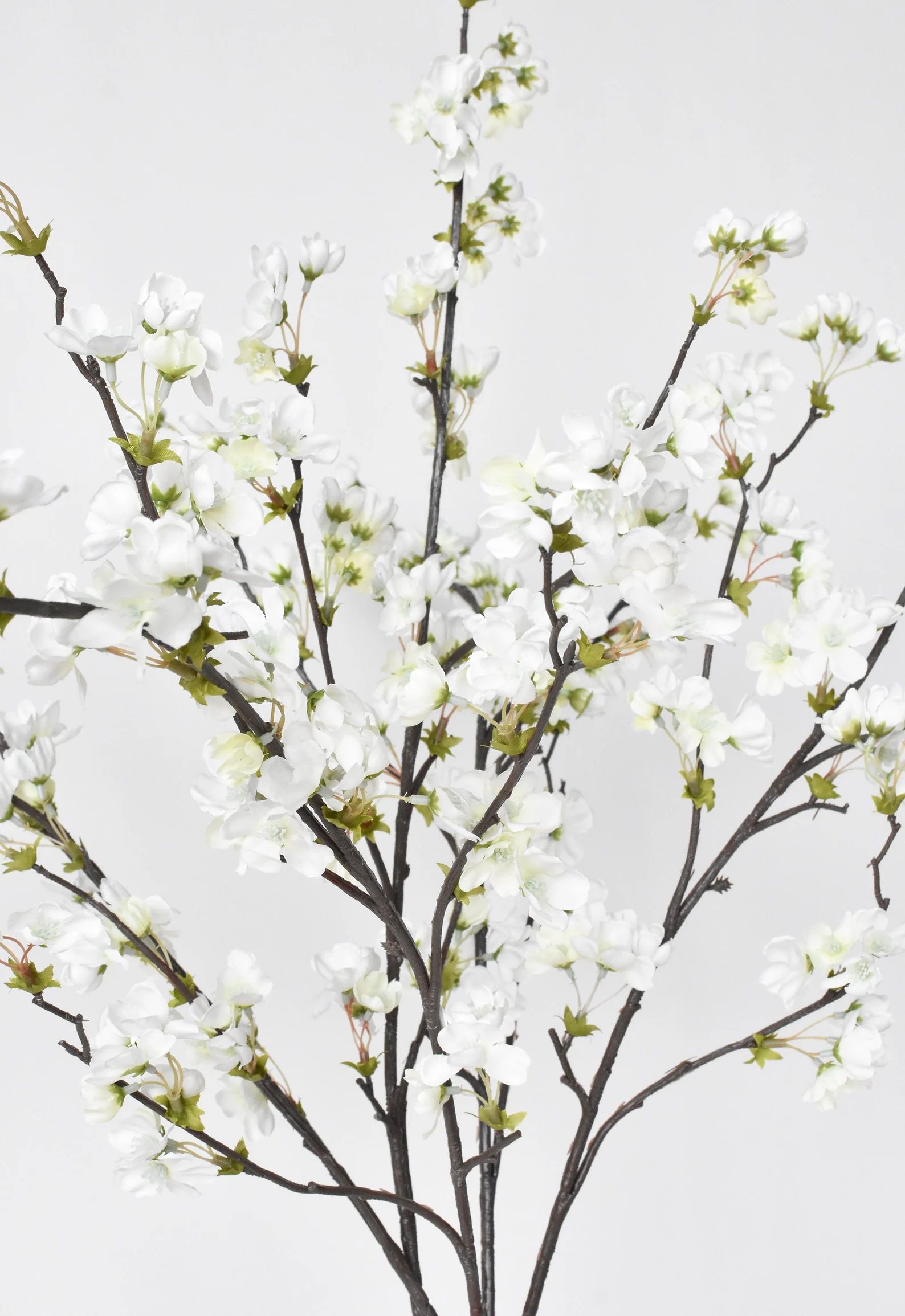 36" Quince Blossom Cream / White | Etsy (US)