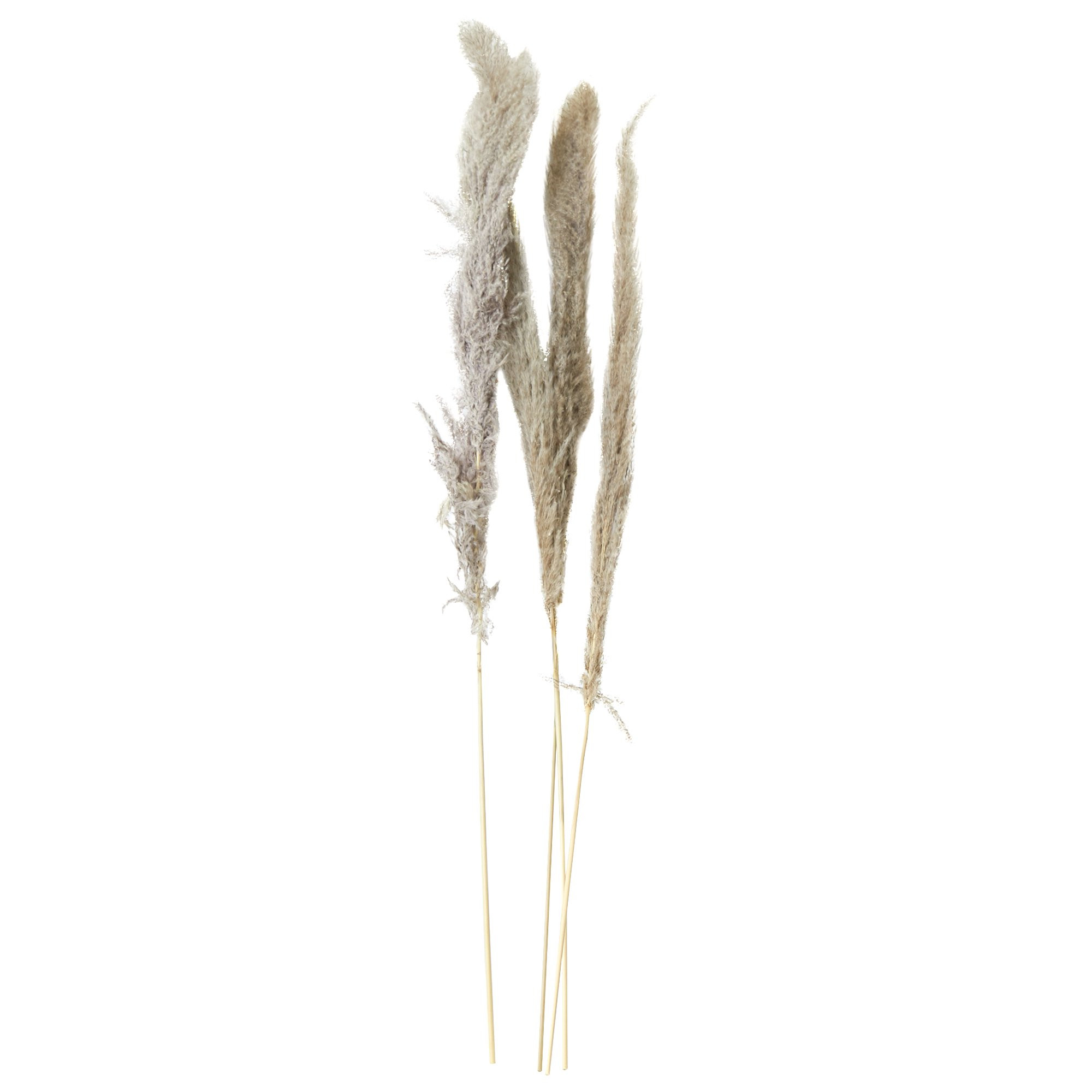 Mainstays 47" Tall Decorative Natural Beige Pampas Grass - Walmart.com | Walmart (US)