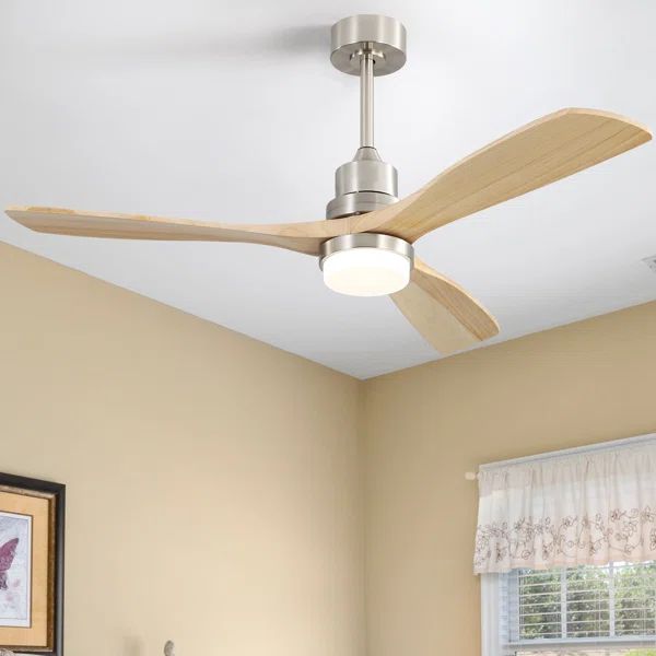 Nicola 52'' Ceiling Fan with LED Lights | Wayfair North America