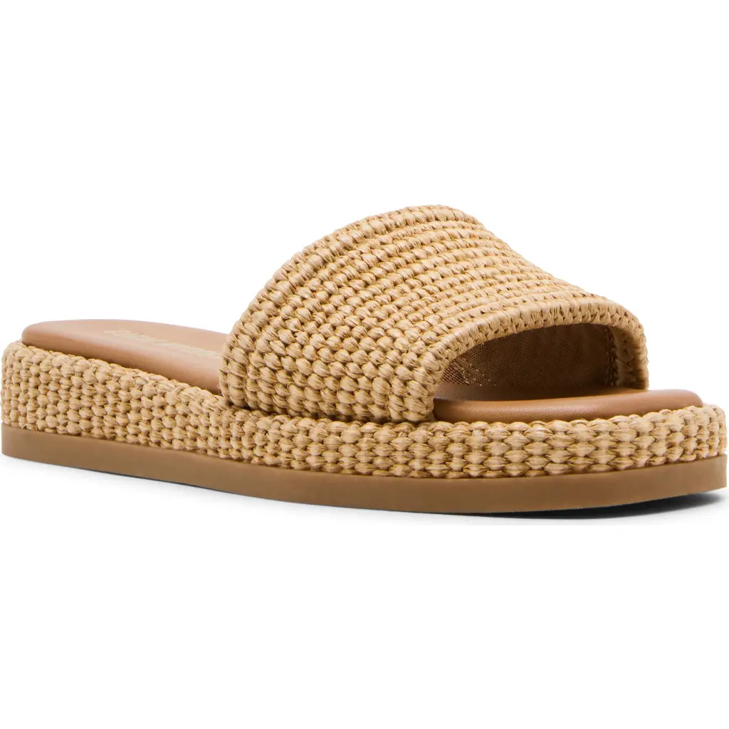 Steve Madden Boardwalk Slide Sandal in Natural Raffia at Nordstrom, Size 9.5 | Nordstrom