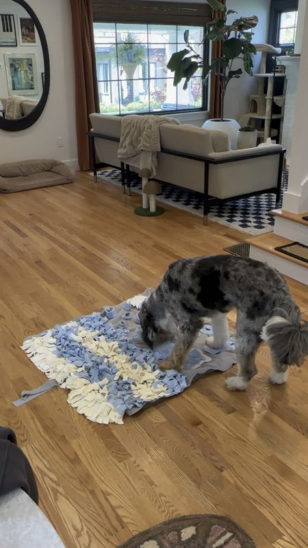 Snuffle mat for high energy dogs! This helps drain a lot of energy through sniffing. Equivalent to a walk!

#LTKfamily