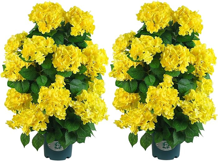 Faux Hydrangea Tree – 30 Inch Hydrangea Tree Artificial with White Flowers, UV Resistant Outdoo... | Amazon (US)