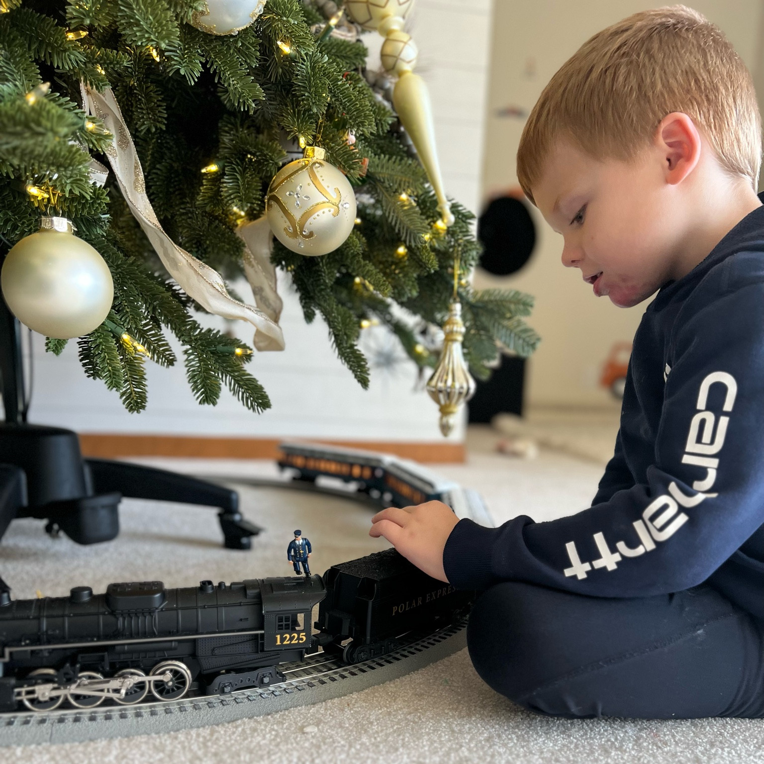 Polar Express Train our family Tradition! Highly Recommend! 

#LTKHoliday #LTKSeasonal #LTKGiftGuide