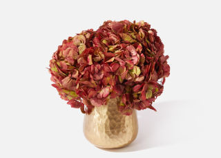The Gemma | UrbanStems