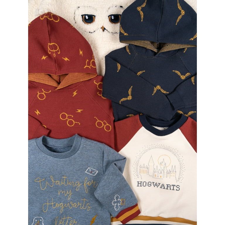 Modern Moments x Harry Potter Toddler Unisex Sweater Knit Hoodie, Sizes 12M-5T | Walmart (US)