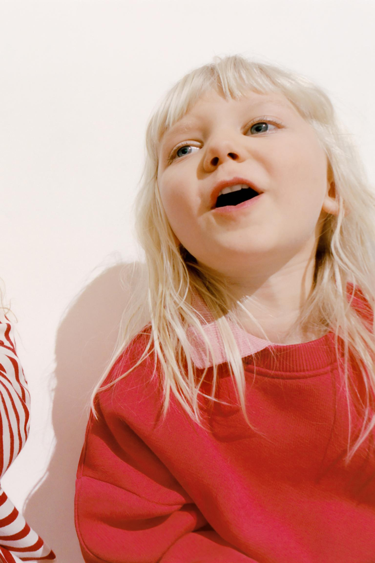 ZARA TIMELESS - PLAIN SWEATSHIRT | Zara US