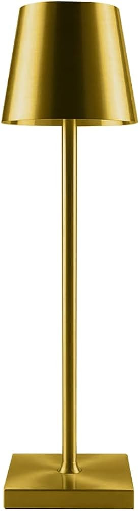 Leroxo Portable Metal Desk Lamp, Cordless LED Table Lamp,3 Color Touch Control Rechargeable Lamp,3-L | Amazon (US)